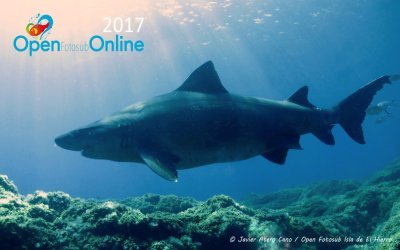 ¡Ya se pueden subir imágenes a concurso para el mes de agosto!